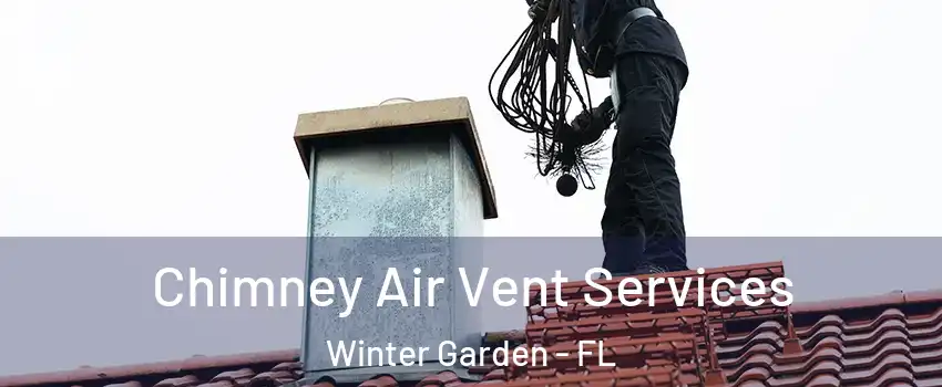  Chimney Air Vent Services Winter Garden - FL
