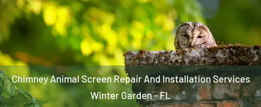  Chimney Animal Screen Repair And Installation Services Winter Garden - FL