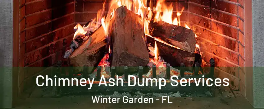  Chimney Ash Dump Services Winter Garden - FL