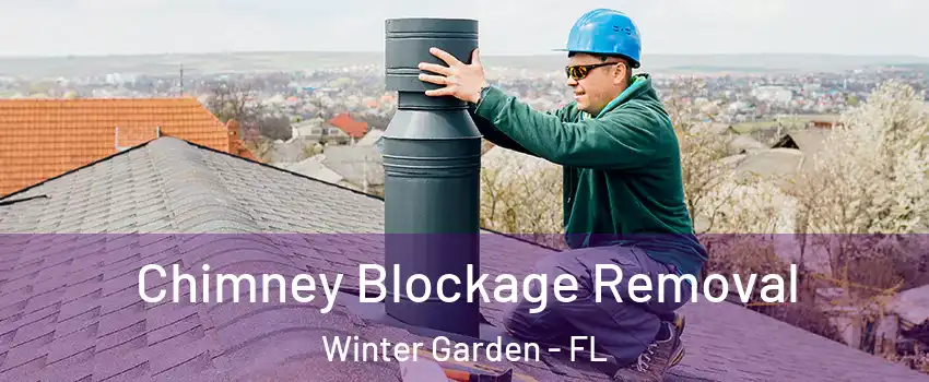  Chimney Blockage Removal Winter Garden - FL