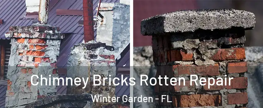  Chimney Bricks Rotten Repair Winter Garden - FL