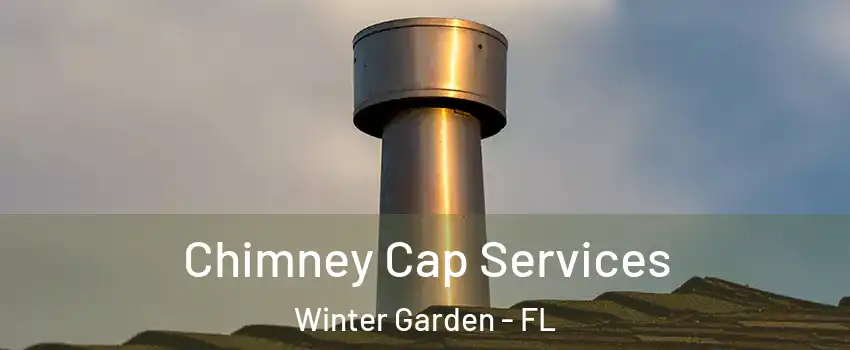  Chimney Cap Services Winter Garden - FL