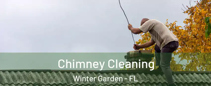  Chimney Cleaning Winter Garden - FL