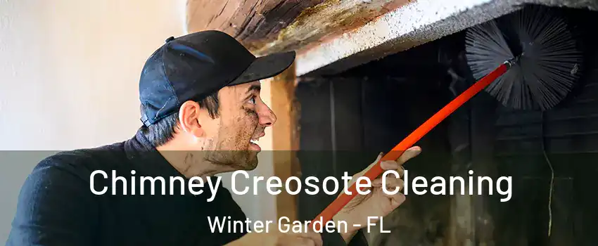  Chimney Creosote Cleaning Winter Garden - FL