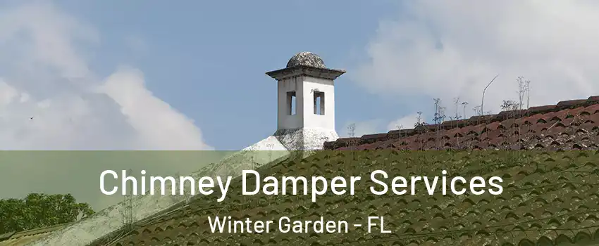  Chimney Damper Services Winter Garden - FL