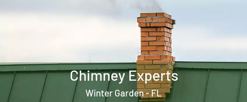  Chimney Experts Winter Garden - FL