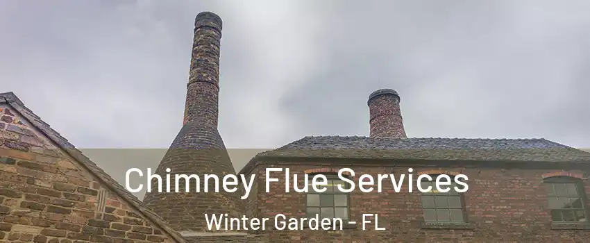  Chimney Flue Services Winter Garden - FL