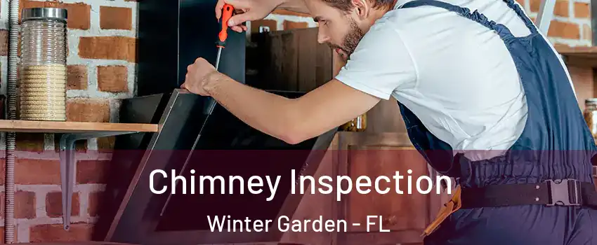  Chimney Inspection Winter Garden - FL