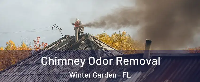  Chimney Odor Removal Winter Garden - FL