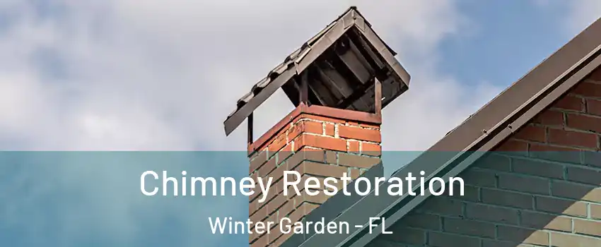  Chimney Restoration Winter Garden - FL