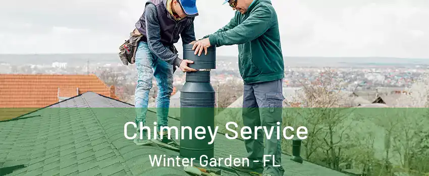  Chimney Service Winter Garden - FL