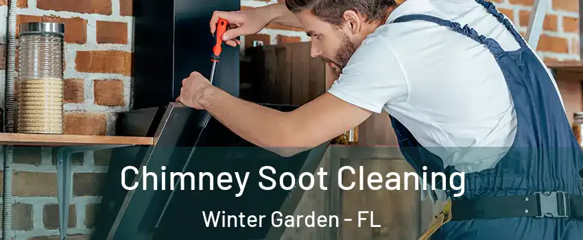  Chimney Soot Cleaning Winter Garden - FL