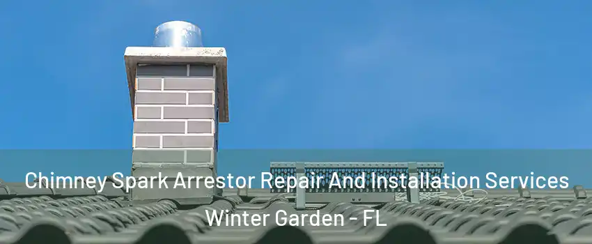  Chimney Spark Arrestor Repair And Installation Services Winter Garden - FL