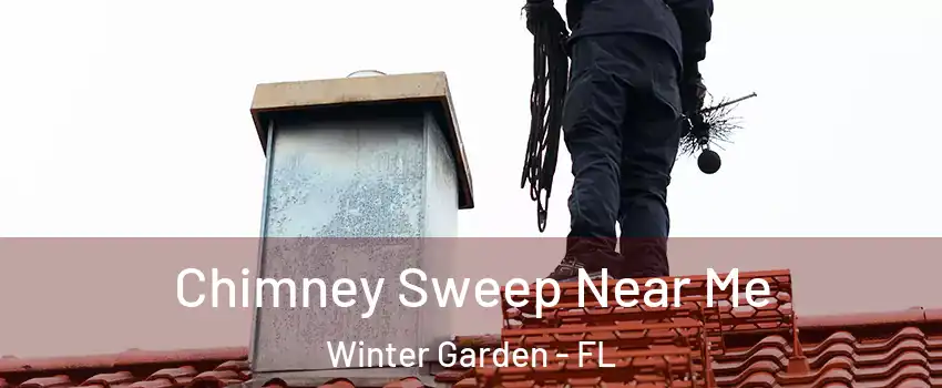  Chimney Sweep Near Me Winter Garden - FL