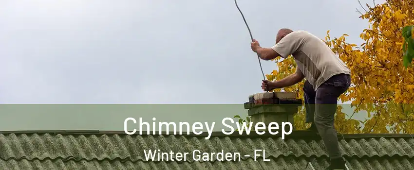  Chimney Sweep Winter Garden - FL