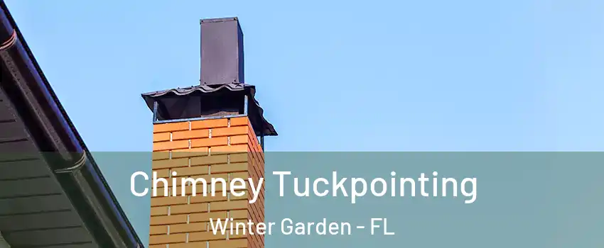  Chimney Tuckpointing Winter Garden - FL