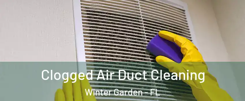  Clogged Air Duct Cleaning Winter Garden - FL