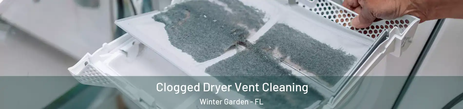  Clogged Dryer Vent Cleaning Winter Garden - FL