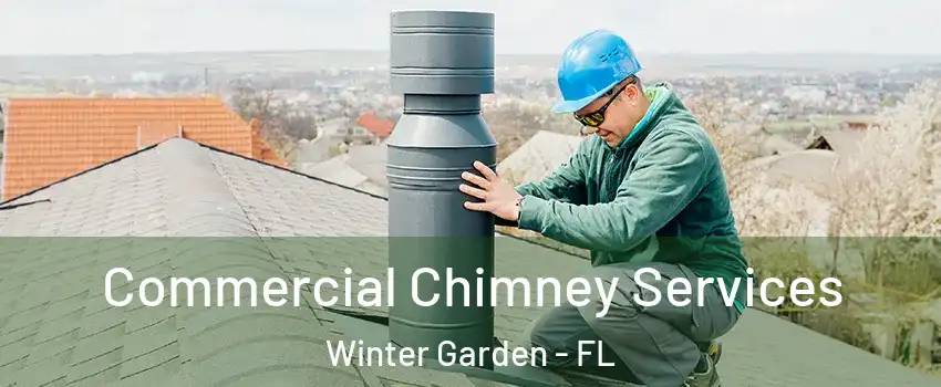  Commercial Chimney Services Winter Garden - FL
