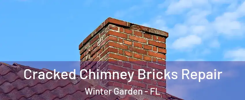  Cracked Chimney Bricks Repair Winter Garden - FL
