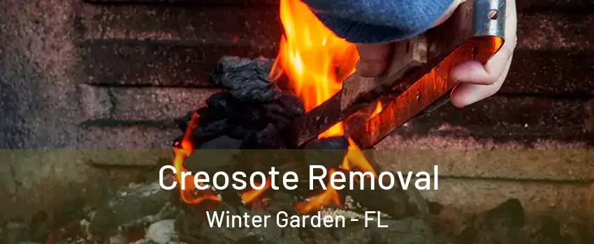  Creosote Removal Winter Garden - FL