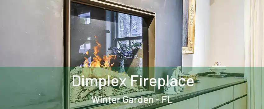  Dimplex Fireplace Winter Garden - FL