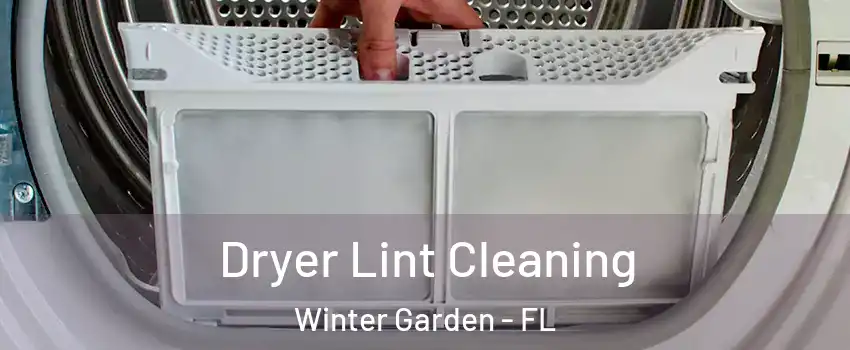  Dryer Lint Cleaning Winter Garden - FL