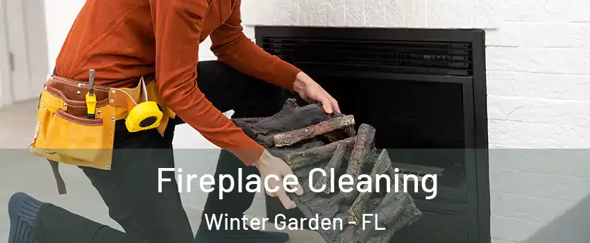  Fireplace Cleaning Winter Garden - FL