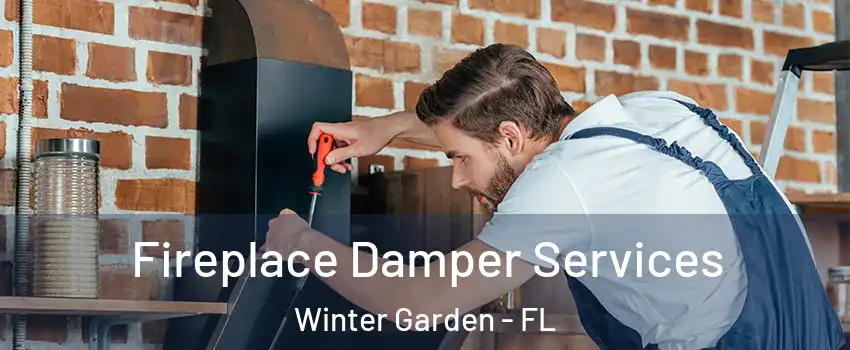  Fireplace Damper Services Winter Garden - FL