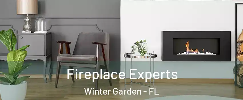  Fireplace Experts Winter Garden - FL