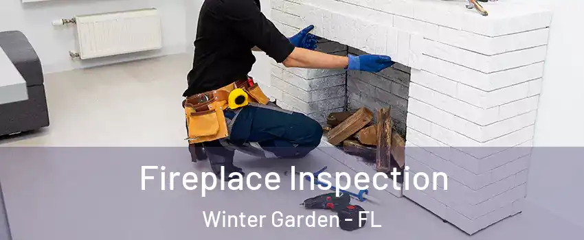  Fireplace Inspection Winter Garden - FL
