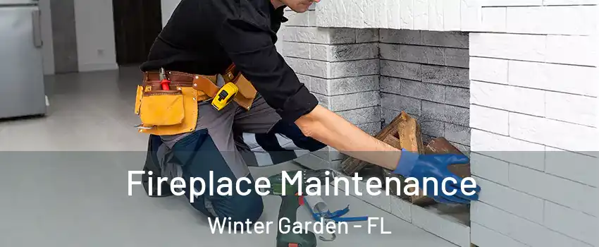  Fireplace Maintenance Winter Garden - FL