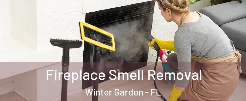  Fireplace Smell Removal Winter Garden - FL