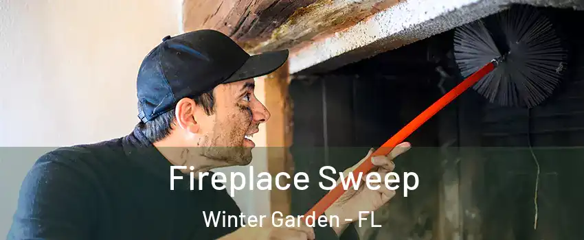  Fireplace Sweep Winter Garden - FL