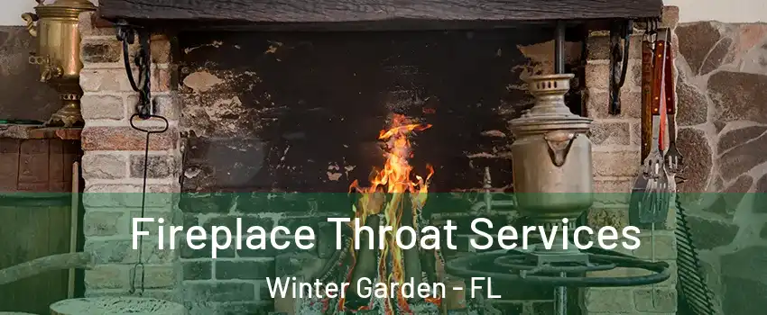  Fireplace Throat Services Winter Garden - FL