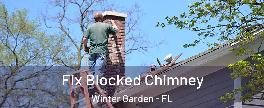  Fix Blocked Chimney Winter Garden - FL