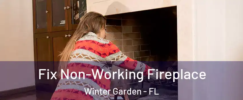  Fix Non-Working Fireplace Winter Garden - FL