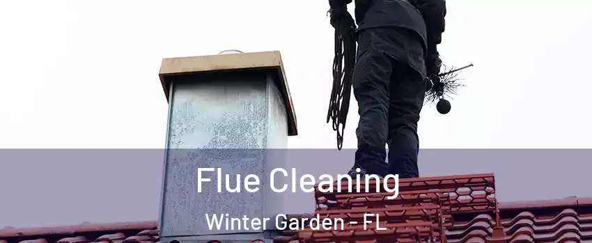  Flue Cleaning Winter Garden - FL