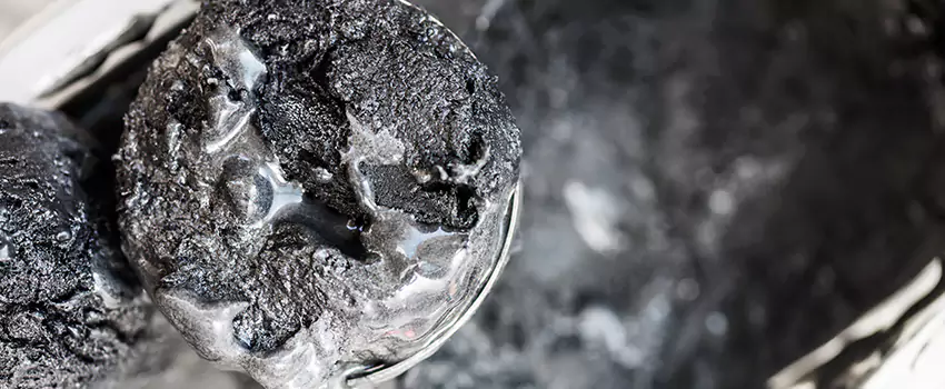 Clogged Dryer Vent Lint Cleaning in Winter Garden, Florida