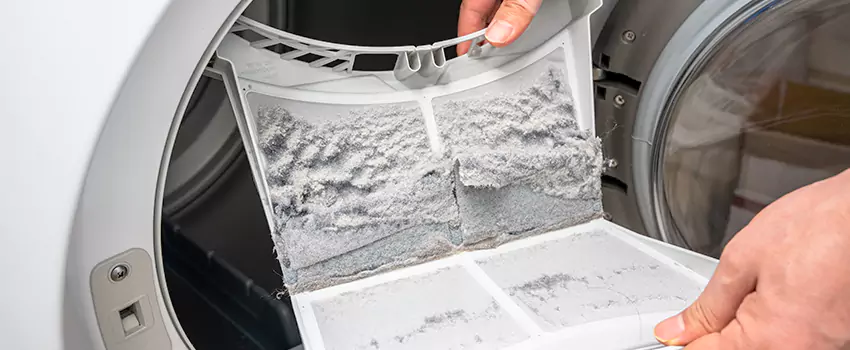 Best Dryer Lint Removal Company in Winter Garden, Florida
