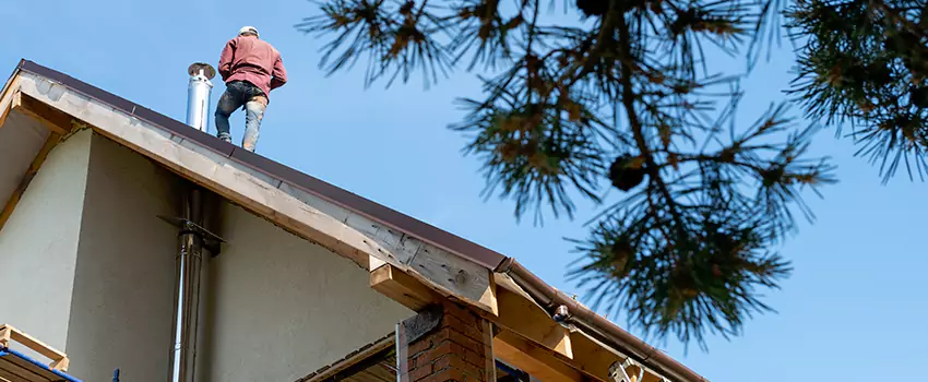 Prefab Chimney Flue Installation in Winter Garden, FL