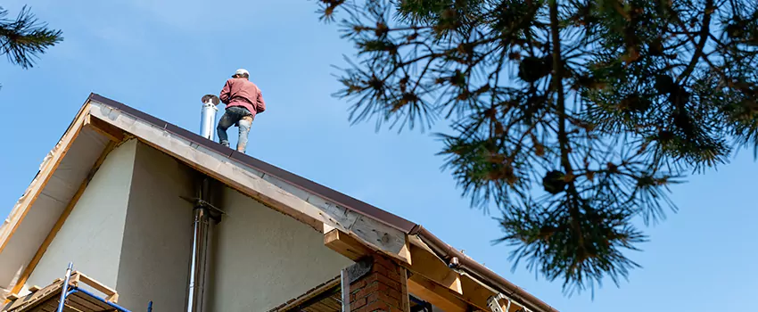 Birds Removal Contractors from Chimney in Winter Garden, FL