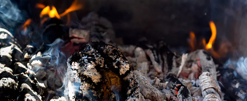 Creosote Removal Experts in Winter Garden, FL