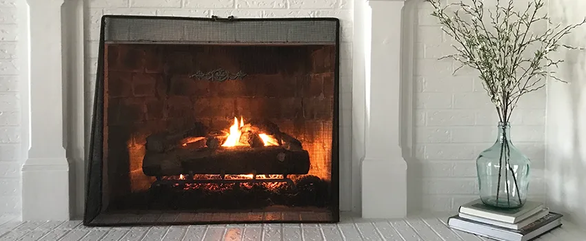 Cost-Effective Fireplace Mantel Inspection And Maintenance in Winter Garden, FL