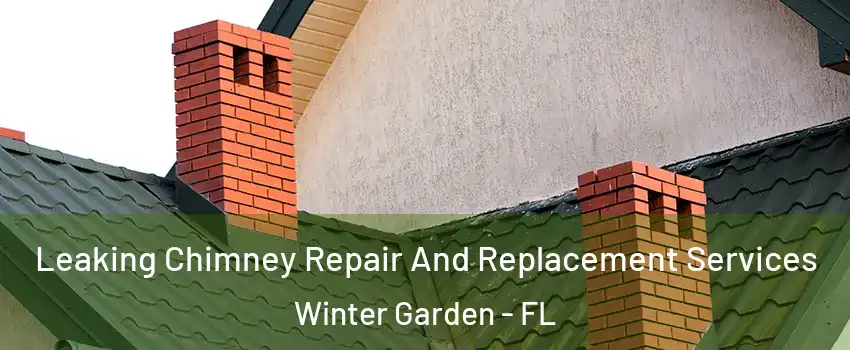  Leaking Chimney Repair And Replacement Services Winter Garden - FL