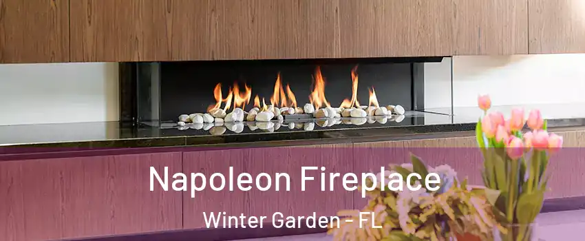  Napoleon Fireplace Winter Garden - FL