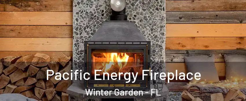  Pacific Energy Fireplace Winter Garden - FL