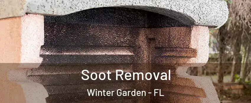  Soot Removal Winter Garden - FL