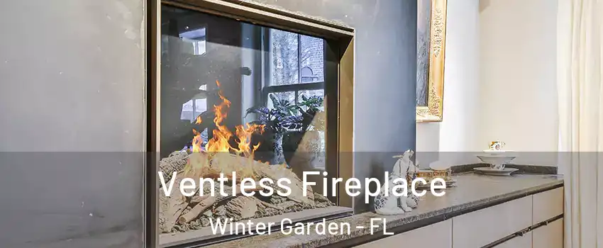  Ventless Fireplace Winter Garden - FL