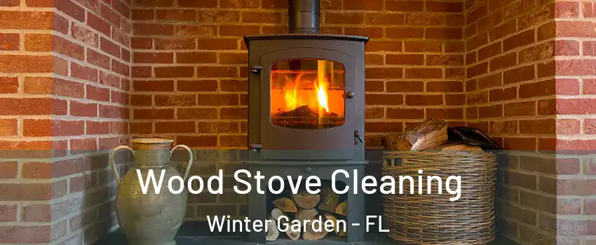  Wood Stove Cleaning Winter Garden - FL